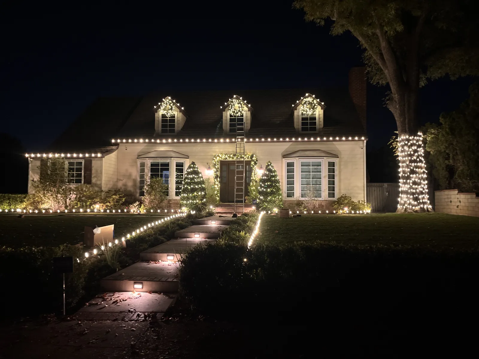 San Diego home fully lit with professional Christmas lights