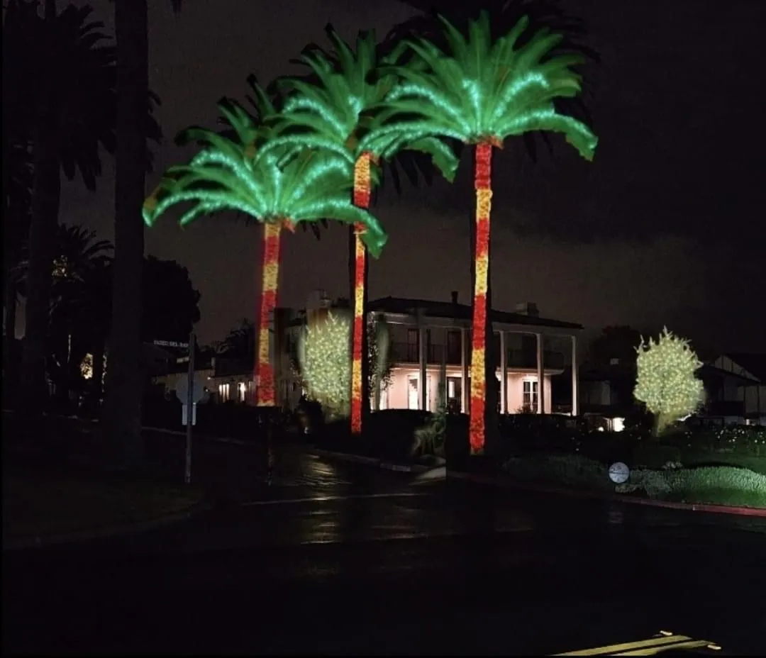 Wedding and event lighting